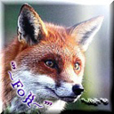 Fox2359727